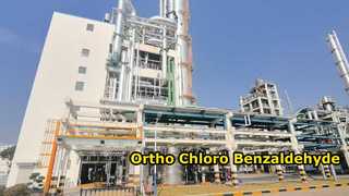 Para Kloro Benzaldehit-Changzhou Xindong Kimya Endüstrisi Geliştirme Co., Ltd.