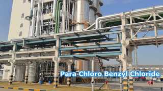 Para Kloro Benzil Klorür - Changzhou Xindong Kimya Endüstrisi Geliştirme Co., Ltd.
